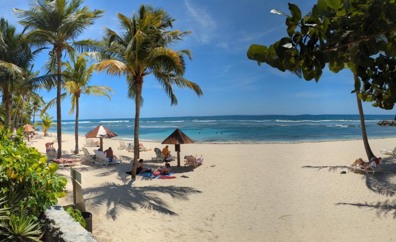 Le Lailana Lägenhet Sainte-Anne  Exteriör bild